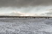 Winter Landscape of Snow-Covered Mountains