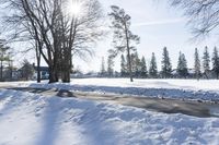 Winter Landscape: Snow Covered Road in Canada