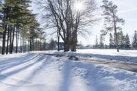 Winter Landscape: Snow Covered Road in Ontario, Canada