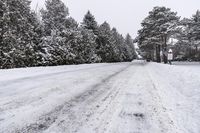 Winter Landscape: Snow Covered Roads in Woody Plantation 002