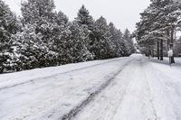Winter Landscape: Snow-Covered Roads and Woody Plantation 003
