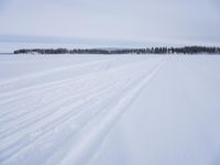 skiers on a snowy field with long snow - covered tracks running behind them in winter