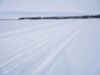 skiers on a snowy field with long snow - covered tracks running behind them in winter