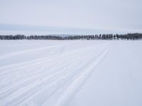 skiers on a snowy field with long snow - covered tracks running behind them in winter