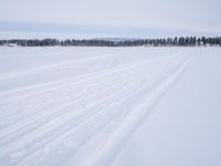 skiers on a snowy field with long snow - covered tracks running behind them in winter