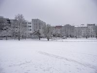 a field with snow covered trees and buildings in the back ground on a winter day