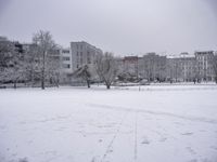 a field with snow covered trees and buildings in the back ground on a winter day