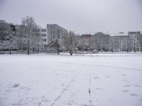 a field with snow covered trees and buildings in the back ground on a winter day