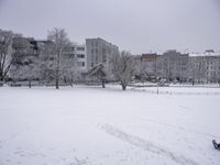 a field with snow covered trees and buildings in the back ground on a winter day