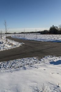 a snowy field with a paved street in the foreground and bare trees in the distance