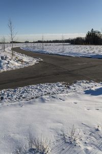 a snowy field with a paved street in the foreground and bare trees in the distance