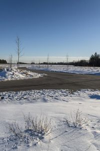 a snowy field with a paved street in the foreground and bare trees in the distance