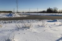 a snowy field with a paved street in the foreground and bare trees in the distance