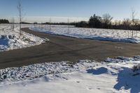 a snowy field with a paved street in the foreground and bare trees in the distance