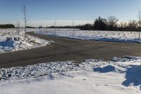 a snowy field with a paved street in the foreground and bare trees in the distance