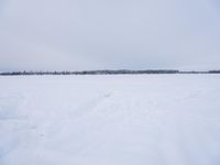 Winter Landscape in Sweden: Tree Covered in Snow