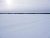 Winter Landscape in Sweden: Tree Covered in Snow