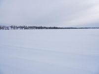 Winter Landscape in Sweden: Tree Covered in Snow