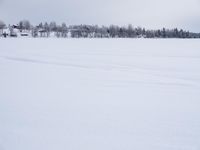 Winter Landscape in Sweden: Tree Covered in Snow