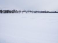 Winter Landscape in Sweden: Tree Covered in Snow