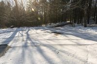 Winter Landscape in Toronto