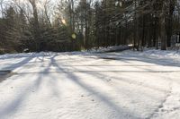 Winter Landscape in Toronto