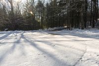 Winter Landscape in Toronto