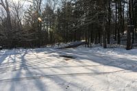 Winter Landscape in Toronto