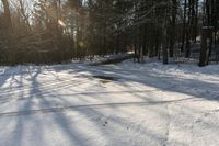 Winter Landscape in Toronto