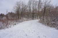 Winter Morning on Ontario Canada Forest Road