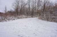 Winter Morning on Ontario Canada Forest Road