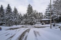 Winter Morning in a Residential Neighborhood in Toronto