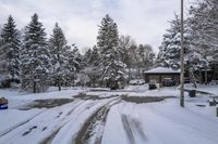 Winter Morning in a Residential Neighborhood in Toronto