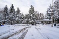 Winter Morning in a Residential Neighborhood in Toronto