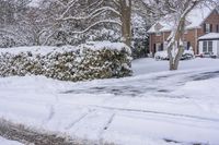 Winter Morning in Toronto