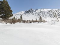 two people riding skis on a snowy surface next to a hill and trees with a mountain in the distance