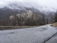 a dirt road with snow capped mountains in the distance and trees on both sides of the street