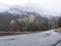 a dirt road with snow capped mountains in the distance and trees on both sides of the street