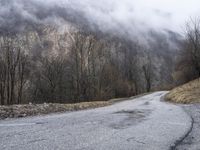 a dirt road with snow capped mountains in the distance and trees on both sides of the street