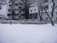 an old snow covered city block with trees in front of it and a large building behind it