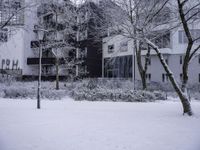 an old snow covered city block with trees in front of it and a large building behind it