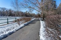 path with tree near body of water covered with snow near fence and snowbank to side