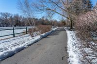 path with tree near body of water covered with snow near fence and snowbank to side