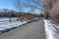 path with tree near body of water covered with snow near fence and snowbank to side