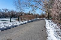 path with tree near body of water covered with snow near fence and snowbank to side