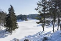 two people skiing up a snow covered hill together with trees and bushes behind them in the foreground