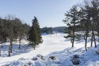 two people skiing up a snow covered hill together with trees and bushes behind them in the foreground