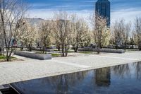 Winter Reflections: Cityscape with Water