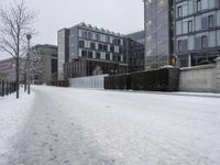 Winter Residential Area: Snow-Covered Streets and Asphalt Road