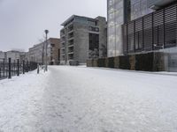 Winter Residential Area: Snow-Covered Streets and Asphalt Road